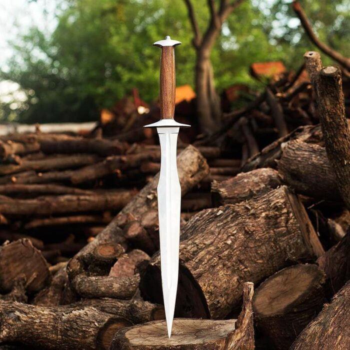 Side view of Roman Gladius with full tang construction and balanced design